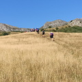 Mampodre (205)